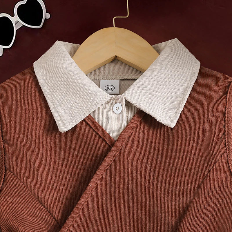 Brown Vest & A Line Dress Set