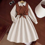 Brown Vest & A Line Dress Set