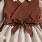 Brown Vest & A Line Dress Set