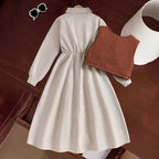 Brown Vest & A Line Dress Set