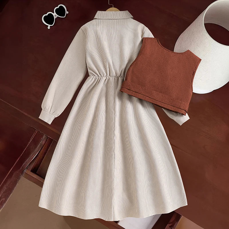 Brown Vest & A Line Dress Set