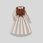 Brown Vest & A Line Dress Set